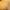 Dourado