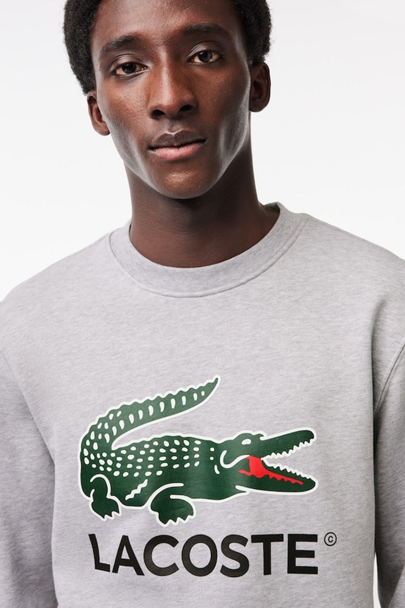 Lacoste Sudadera Lacoste en felpa de algod&oacute;n de corte cl&aacute;sico
