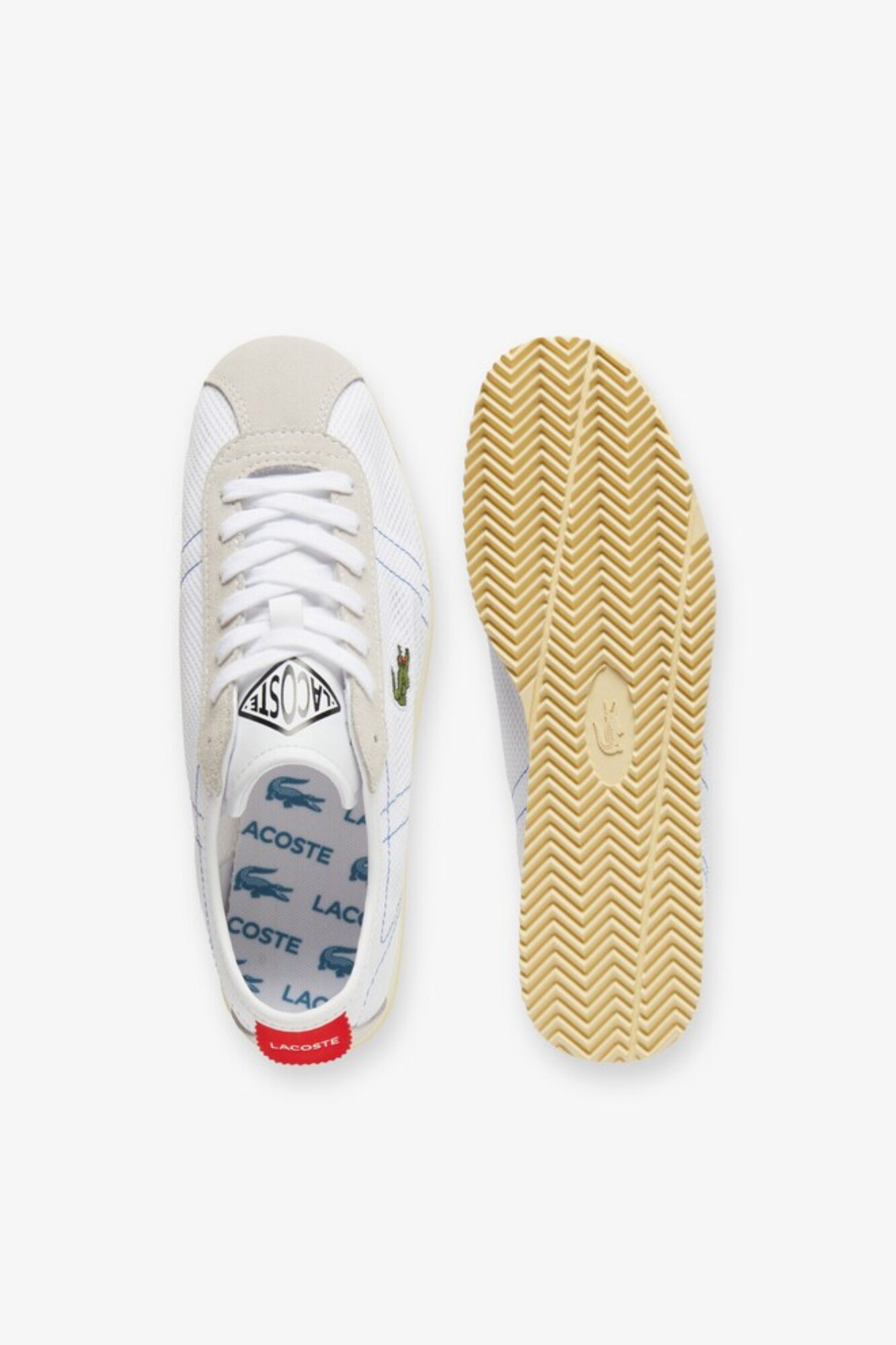 Lacoste Zapatillas Powercourt