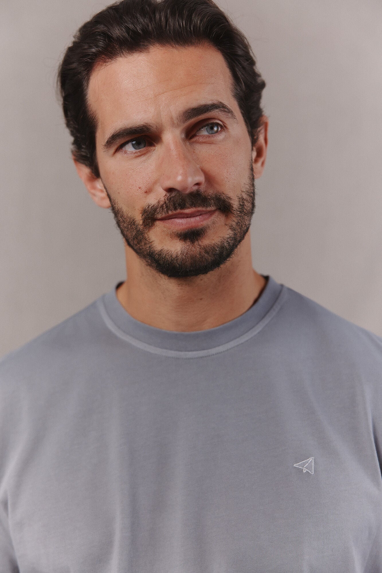 OOTO Camiseta b&aacute;sica lavada con bordado avi&oacute;n Gris