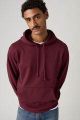 Levi's Sweatshirt com capuz estampado